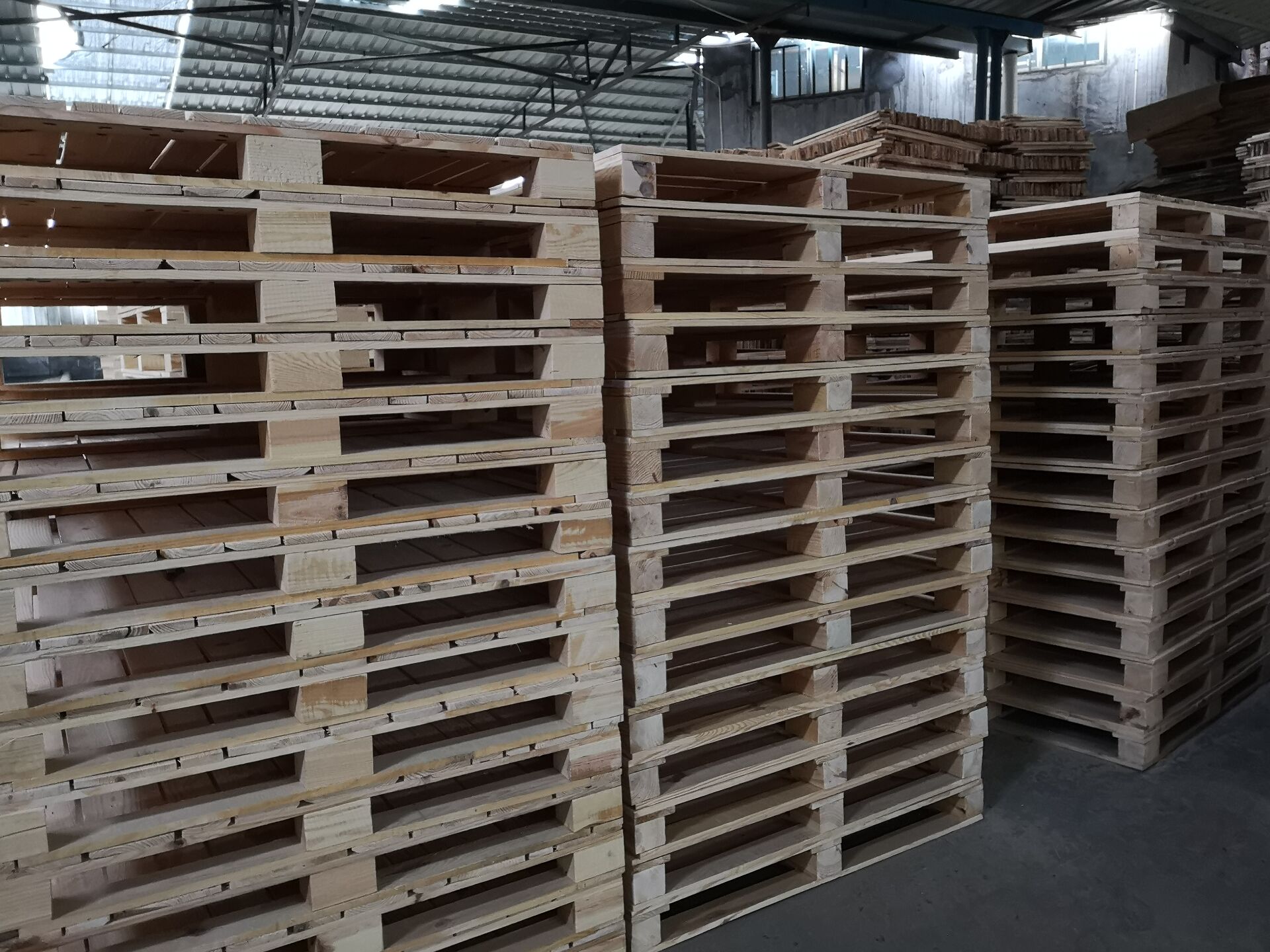 �����M(j��n)���бP(p��n)007