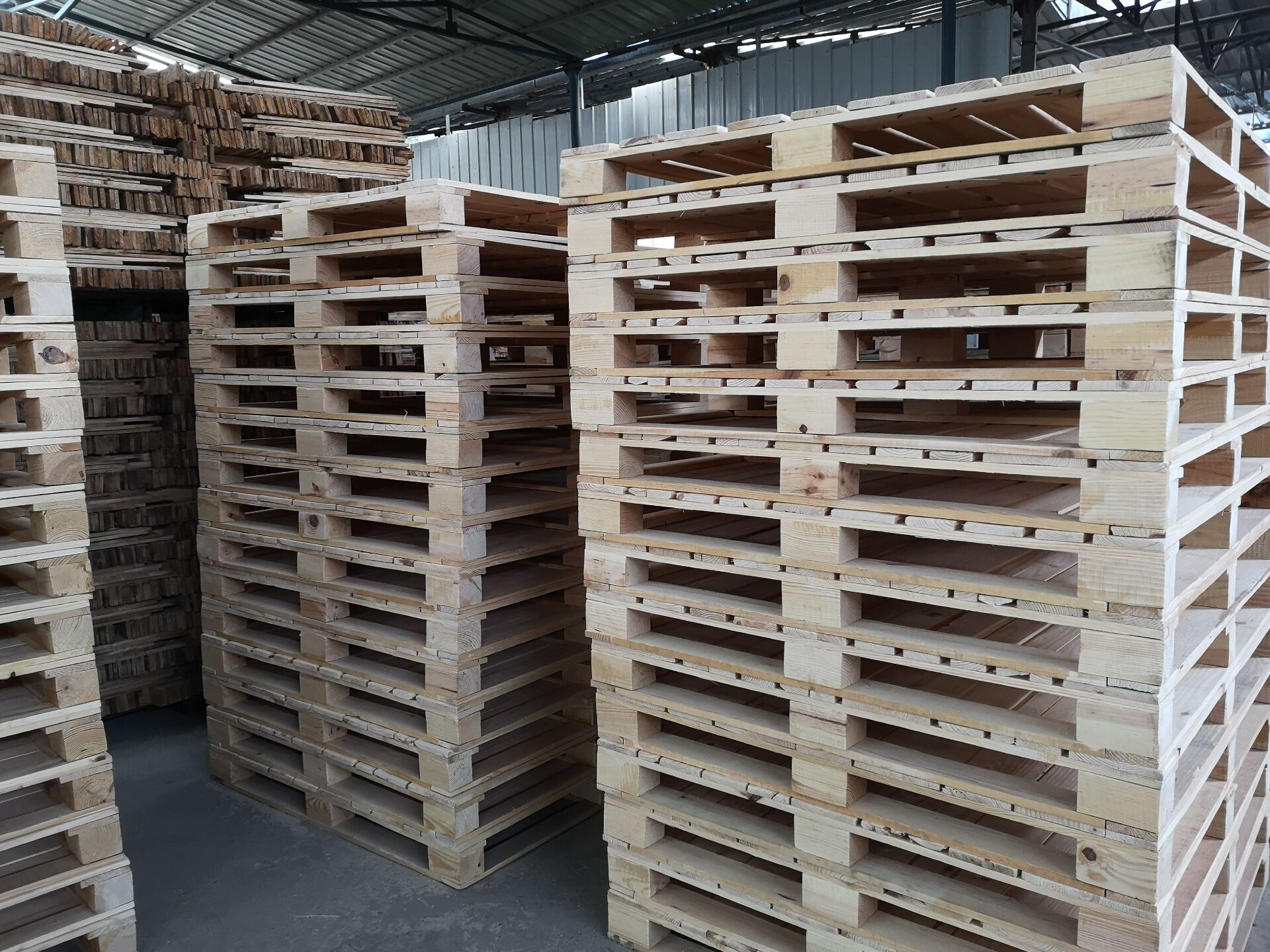 �����M(j��n)���бP(p��n)004